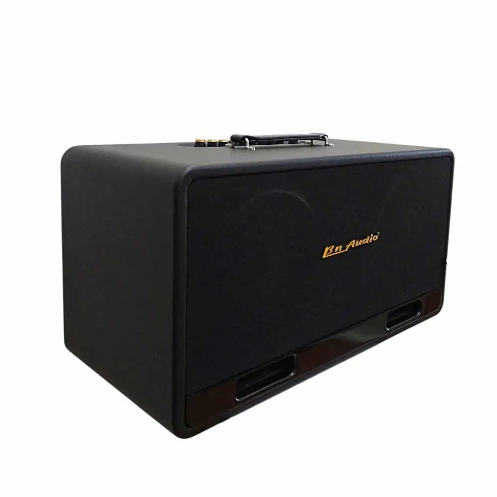 Loa Karaoke Xách Tay BN Audio BA 5500 VII 1