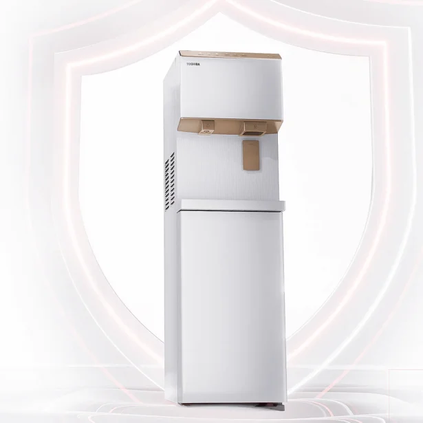 Toshiba RWF-IW2469BVN(W)