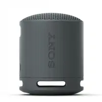 Loa Bluetooth Sony SRS-XB100