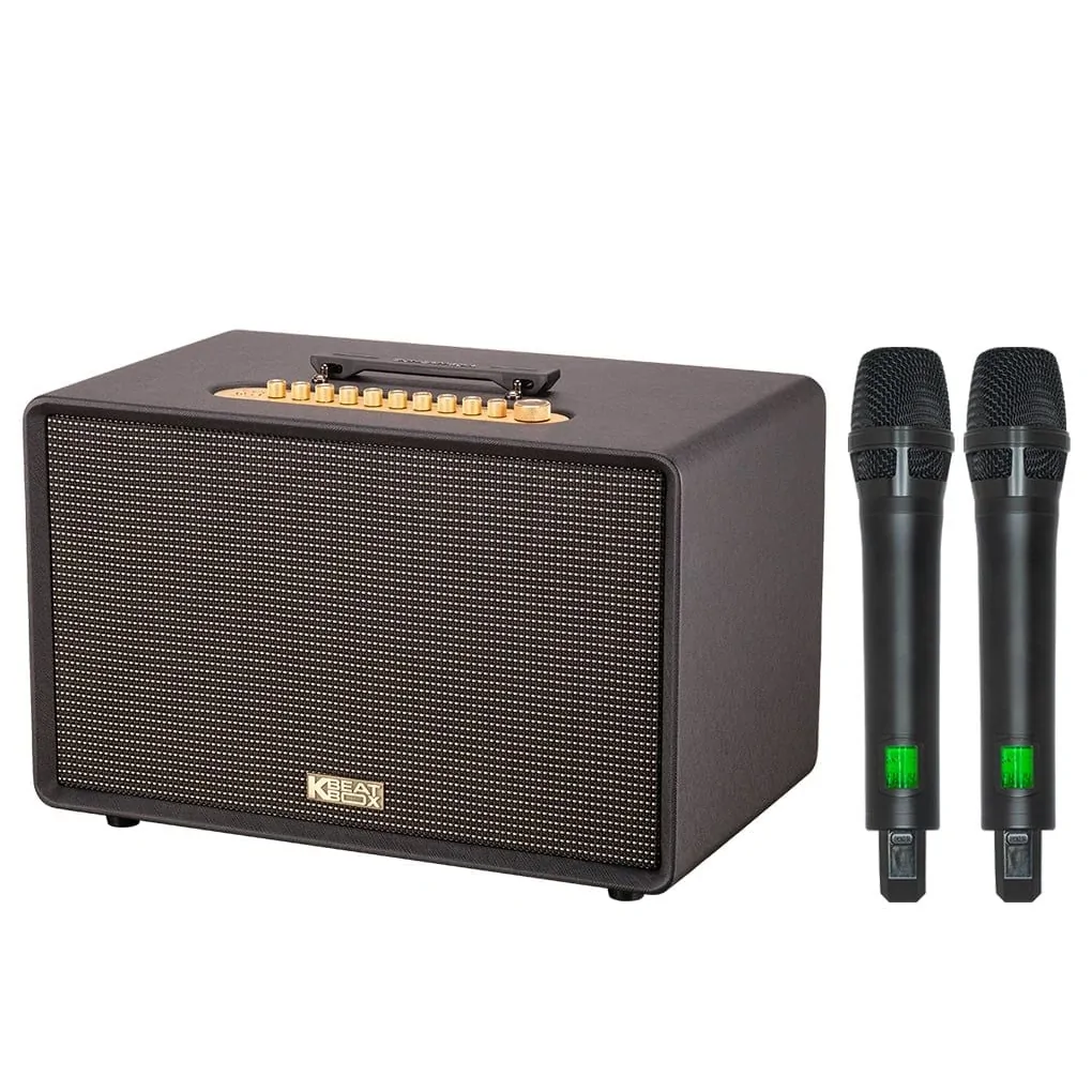 Loa Karaoke Di Động Acnos Flac 39 (màu Đen) 0