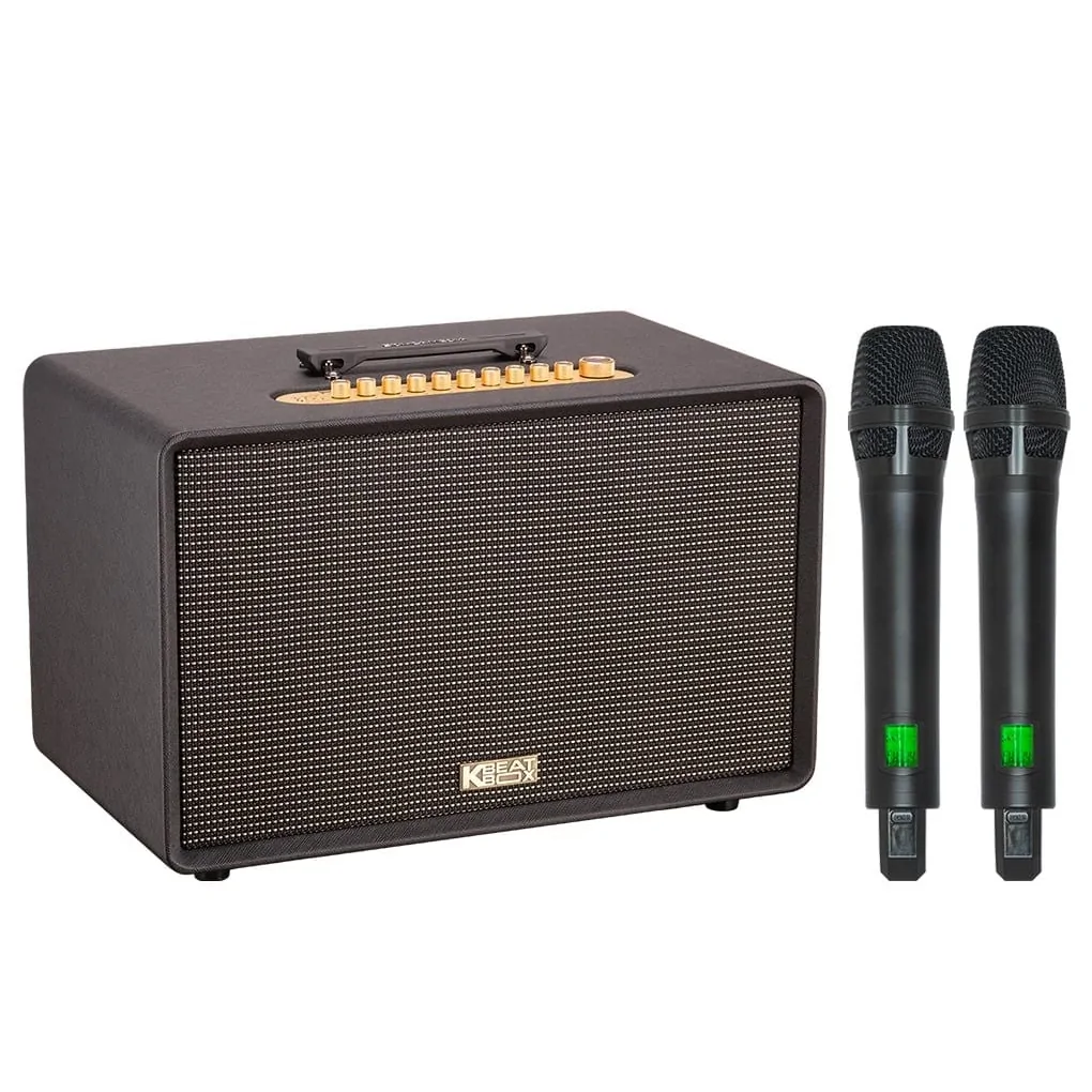 Loa Karaoke Di Động Acnos Flac 39 (màu Đen) 1