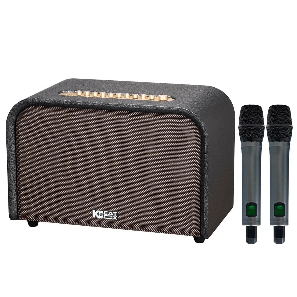 Loa Karaoke Di Động Acnos Acoustic 3 Compact (màu Đen) 0