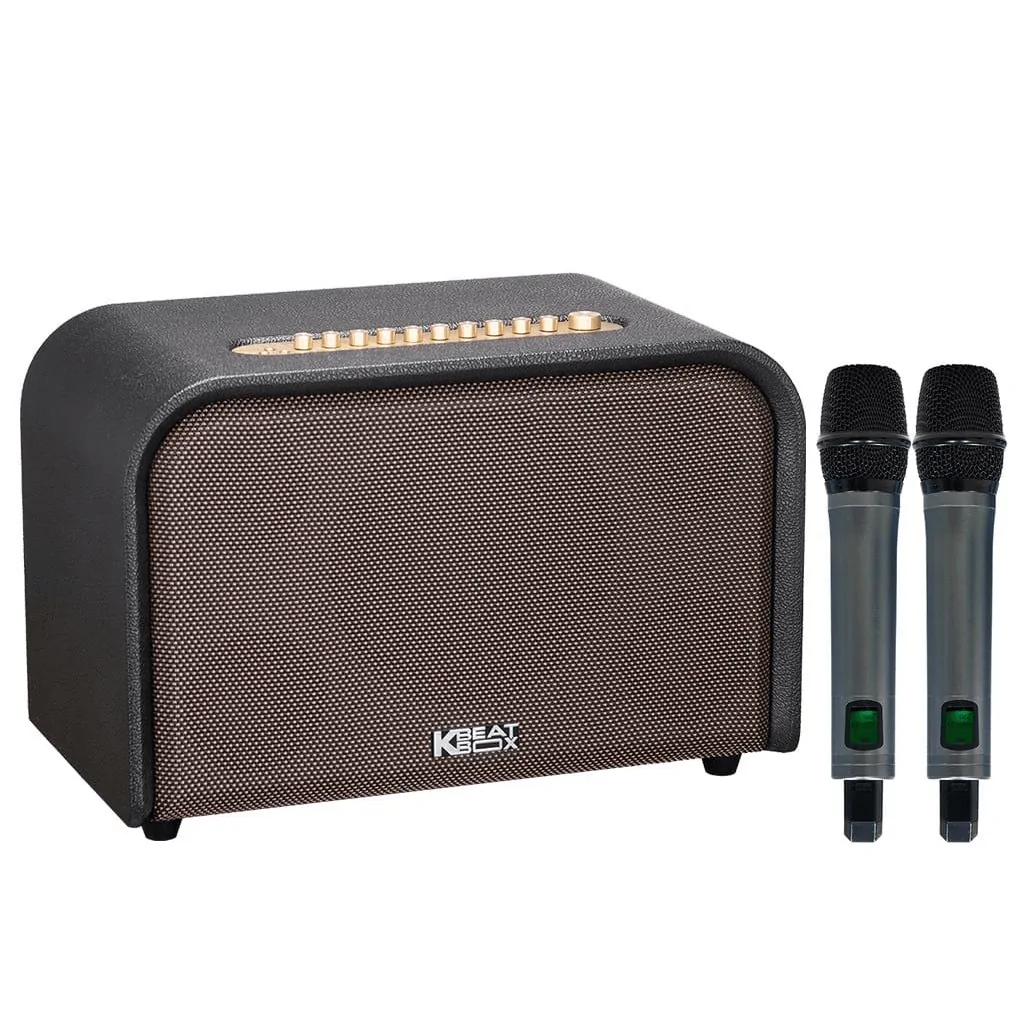 Loa Karaoke Di Động Acnos Acoustic 3 Compact (màu Đen) 1
