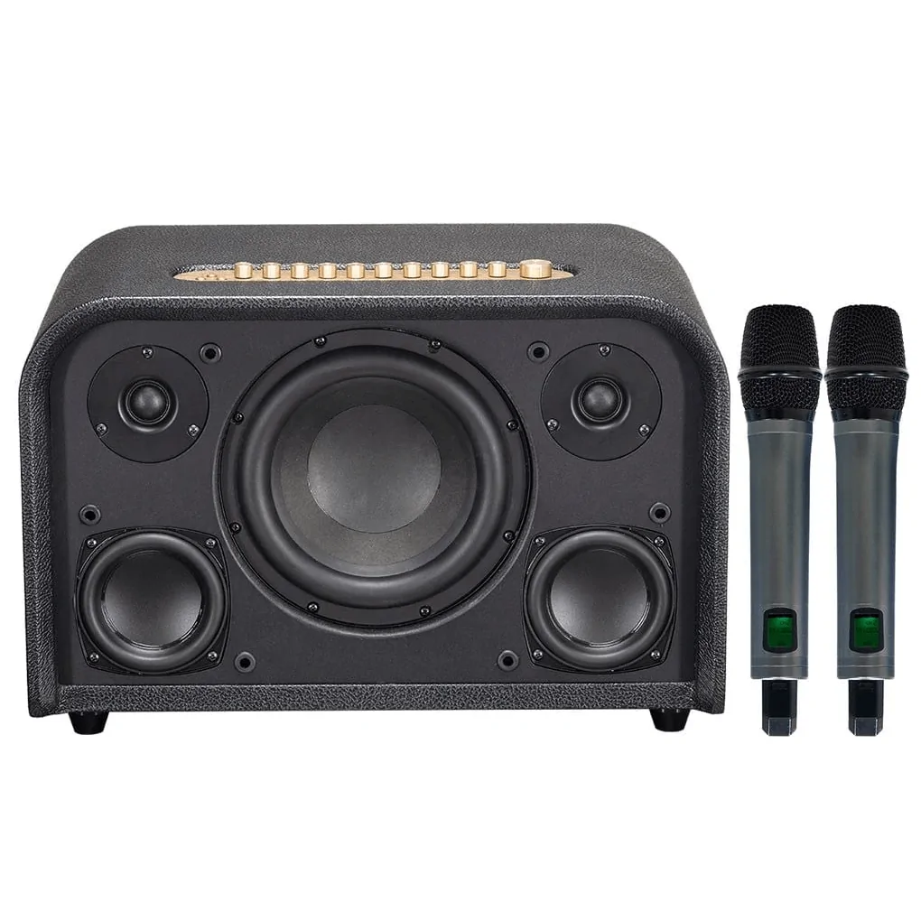 Loa Karaoke Di Động Acnos Acoustic 3 Compact (màu Đen) 3
