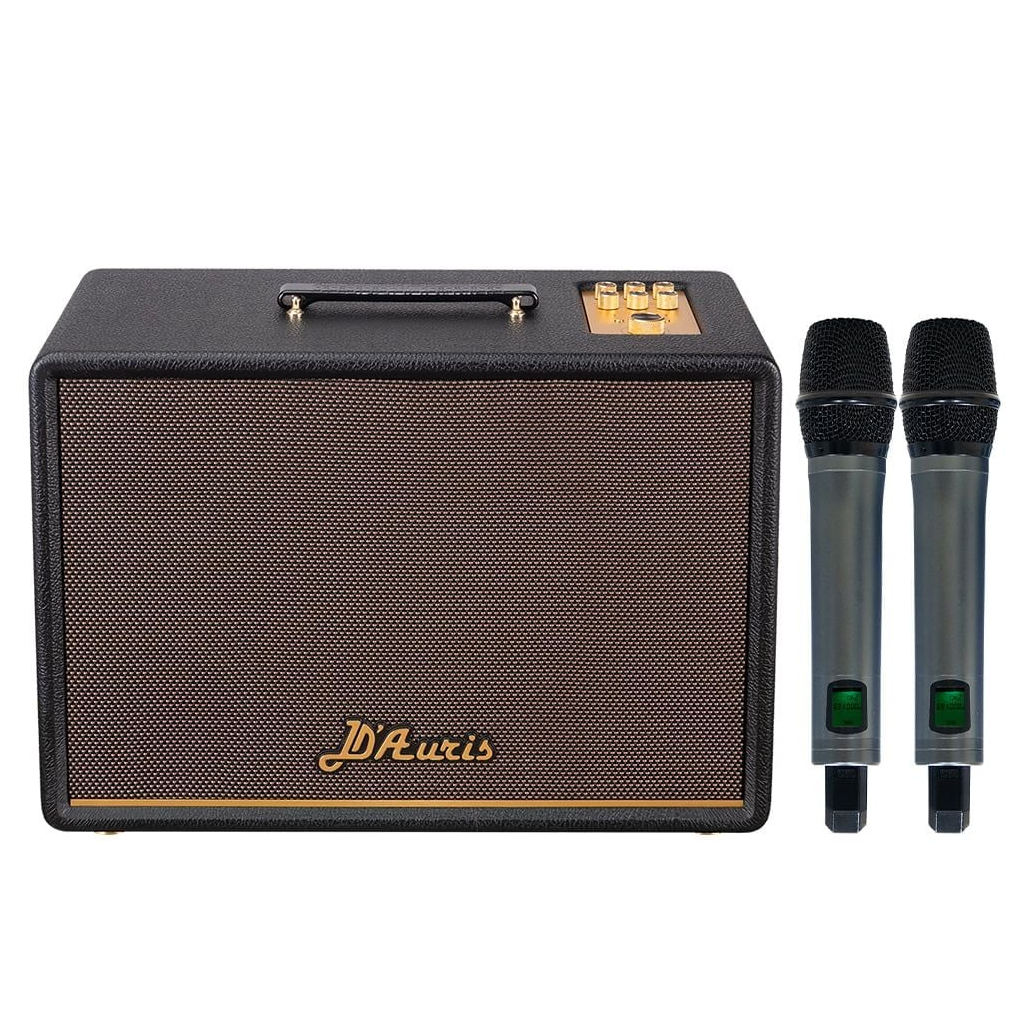 Loa Karaoke Di Động D'Auris 300 (Đen)