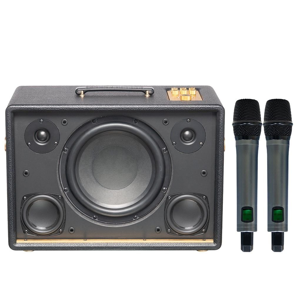 Loa Karaoke Di Động Acnos D'Auris 300 (Đen) 1