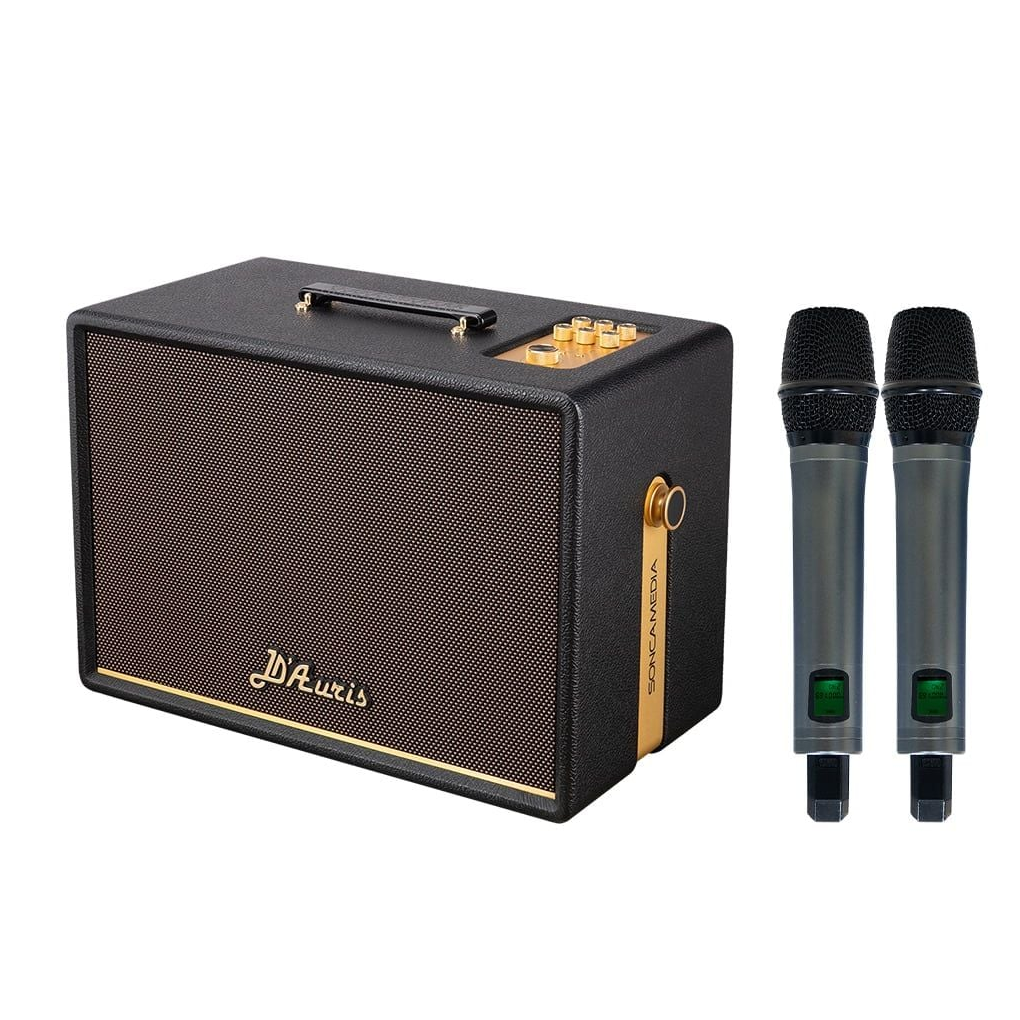 Loa Karaoke Di Động Acnos D'Auris 300 (Đen) 2