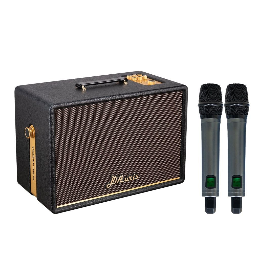 Loa Karaoke Di Động Acnos D'Auris 300 (Đen) 3