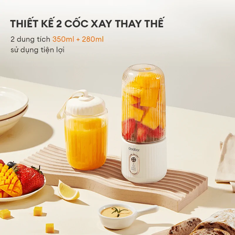 Máy Xay Sinh Tố Cầm Tay Gaabor FP03T-WH01A 3