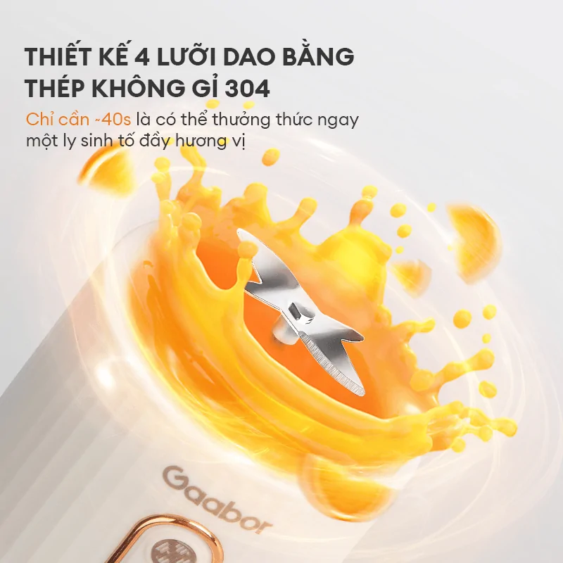 Máy Xay Sinh Tố Cầm Tay Gaabor FP03T-WH01A 4