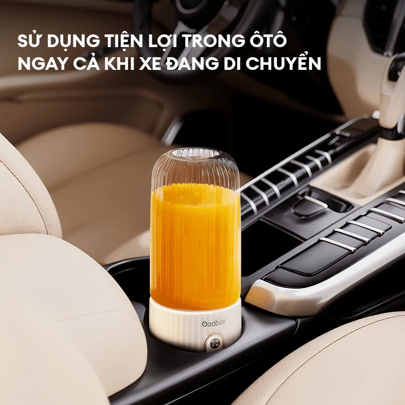 Máy Xay Sinh Tố Cầm Tay Gaabor FP03T-WH01A 5