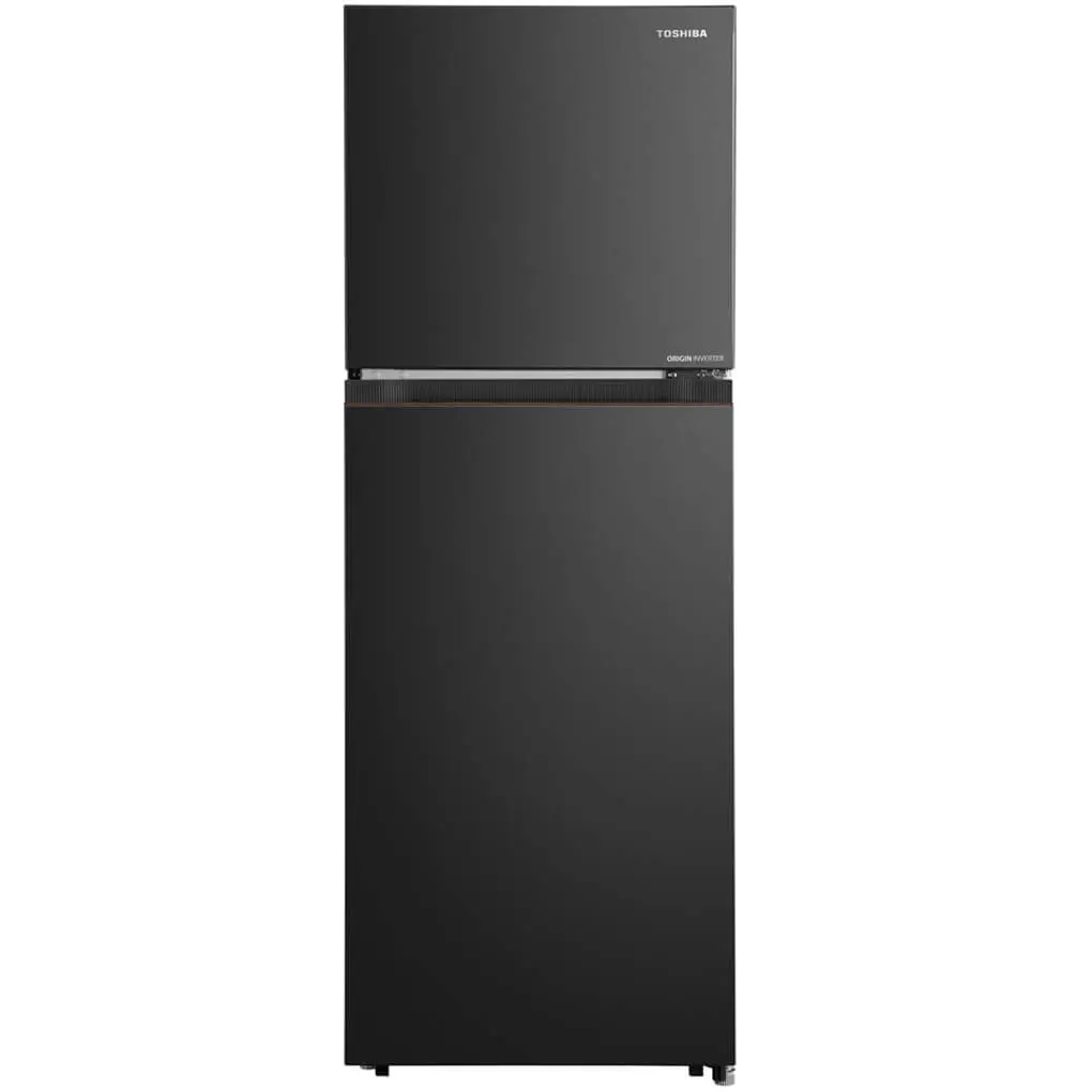 Tủ Lạnh Toshiba Inverter 240 Lít GR-RT310WE-PMV(68)