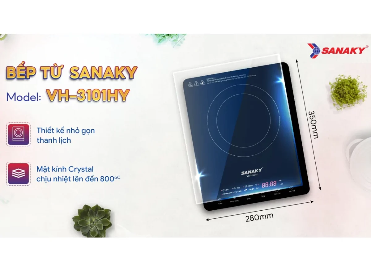Bếp Từ Đơn Sanaky VH-3101HY 2000W 4