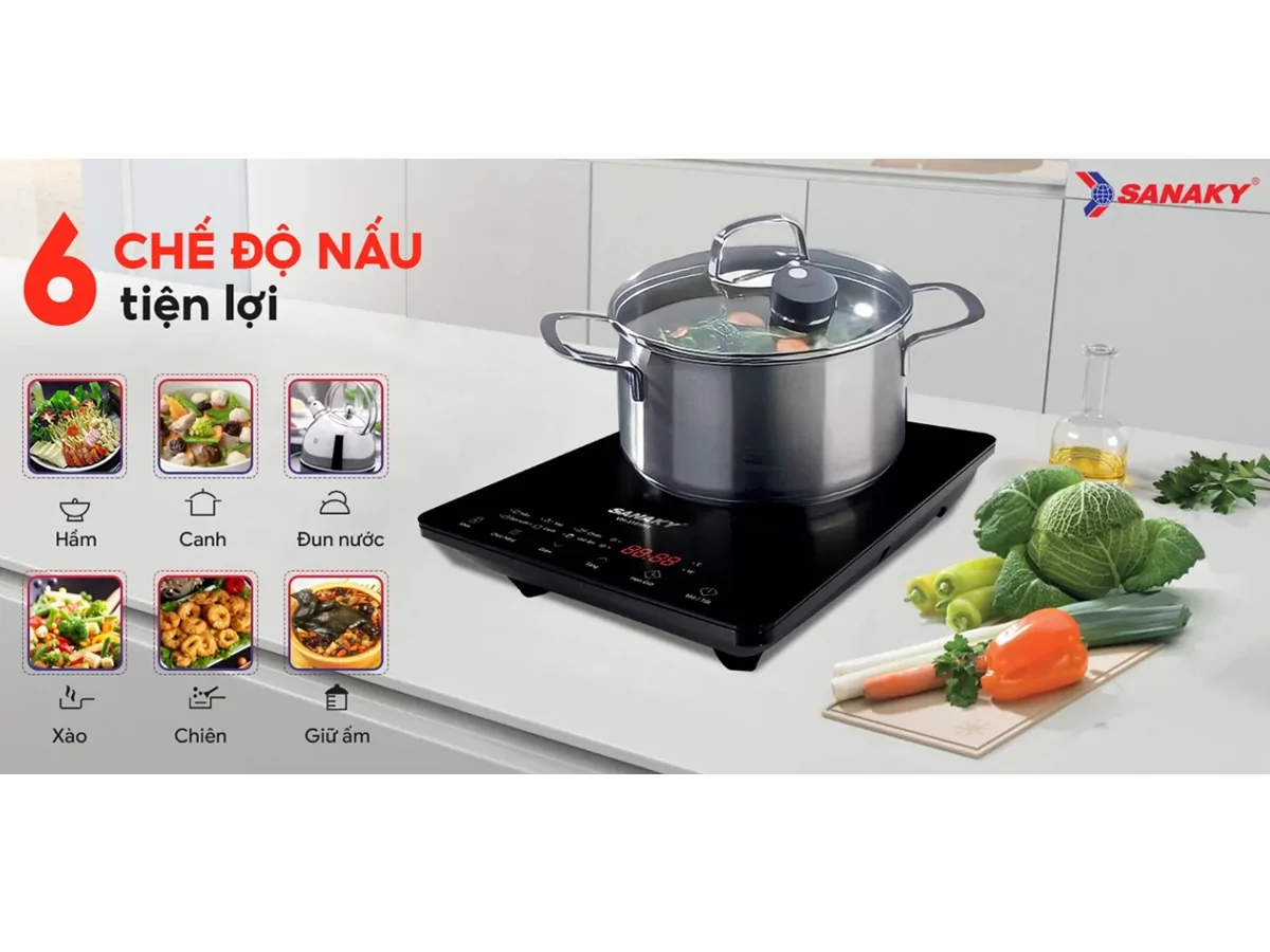 Bếp Từ Đơn Sanaky VH-3101HY 2000W 5