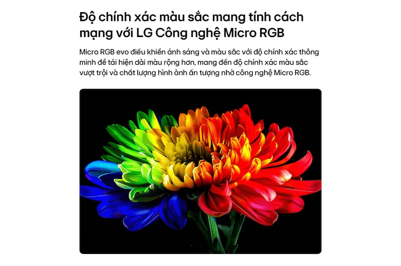 Smart Tivi LG Micro RGB 4K 100 Inch 100MRGB96BS 12
