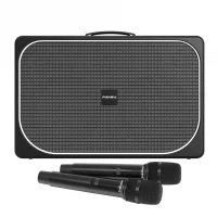 Loa Di Động Xách Tay Paramax Sono (Black Leather)