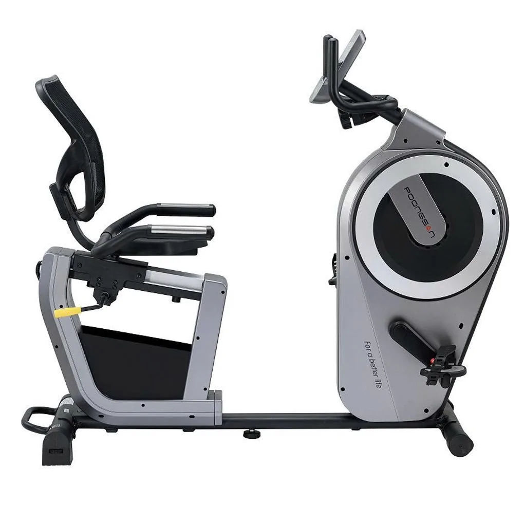 Xe Đạp Tập Poongsan PM-804 0