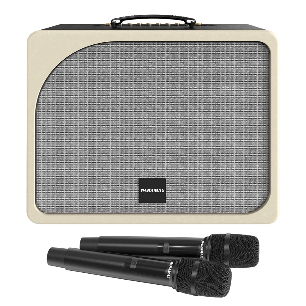 Loa Di Động Xách Tay Paramax Evox (Black Leather)
