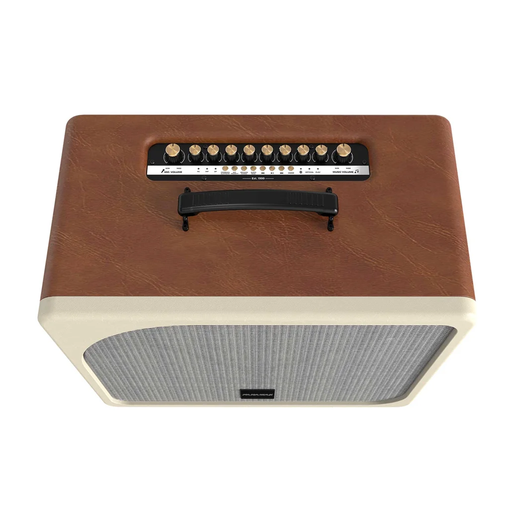 Loa Di Động Xách Tay Paramax Evox Max (Brown Leather) 1