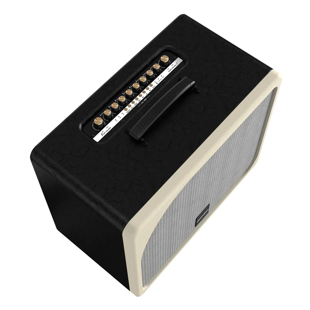 Loa Di Động Xách Tay Paramax Evox Max (Black Leather) 1