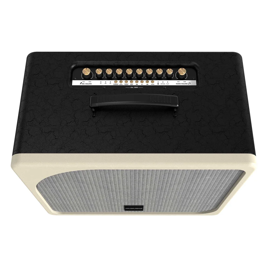 Loa Di Động Xách Tay Paramax Evox Max (Black Leather) 2