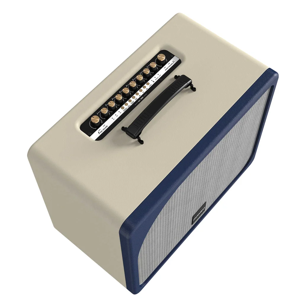 Loa Di Động Xách Tay Paramax Evox Max (Cream Leather) 2