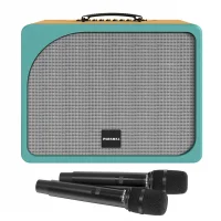 Loa Di Động Xách Tay Paramax Evox Max (Yellow Leather)