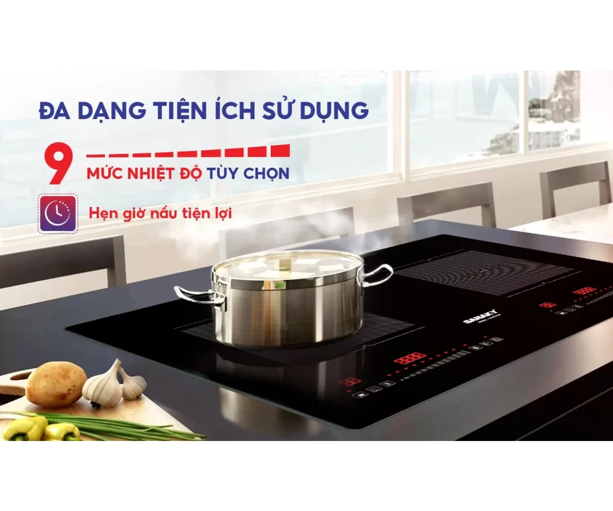 Bếp Điện Từ Đôi Sanaky VH4101HY 7