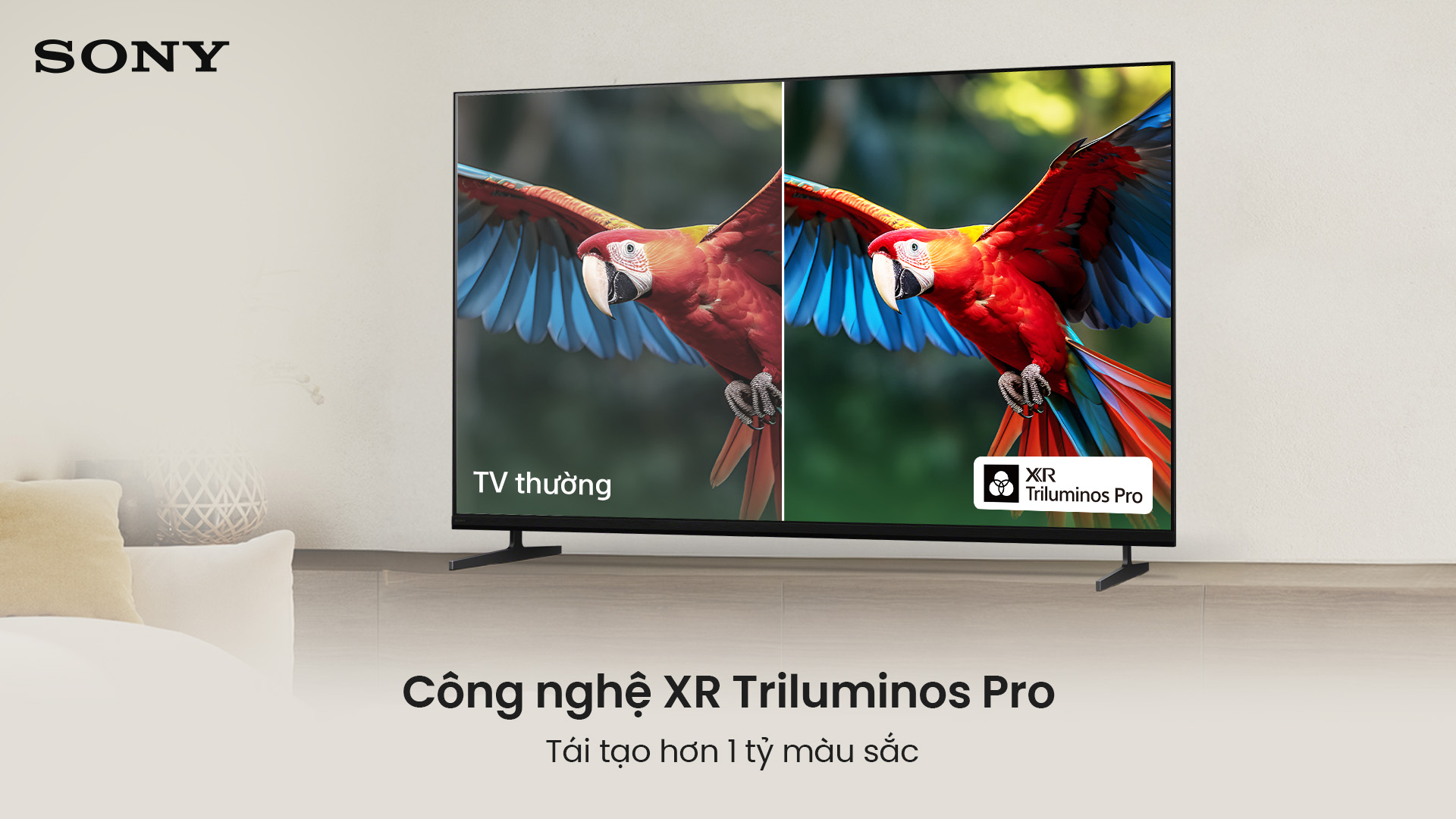 Google TiVi Sony BRAVIA 3 II 100 Inch K-100XR30M2 6