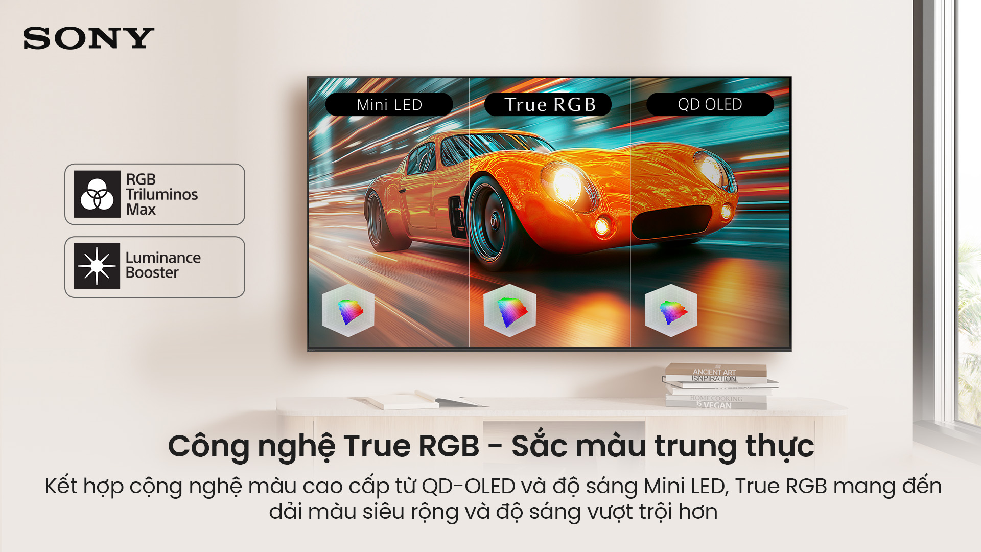 Google TiVi True RGB BRAVIA 7 II 55 Inch K-55XR70M2 10