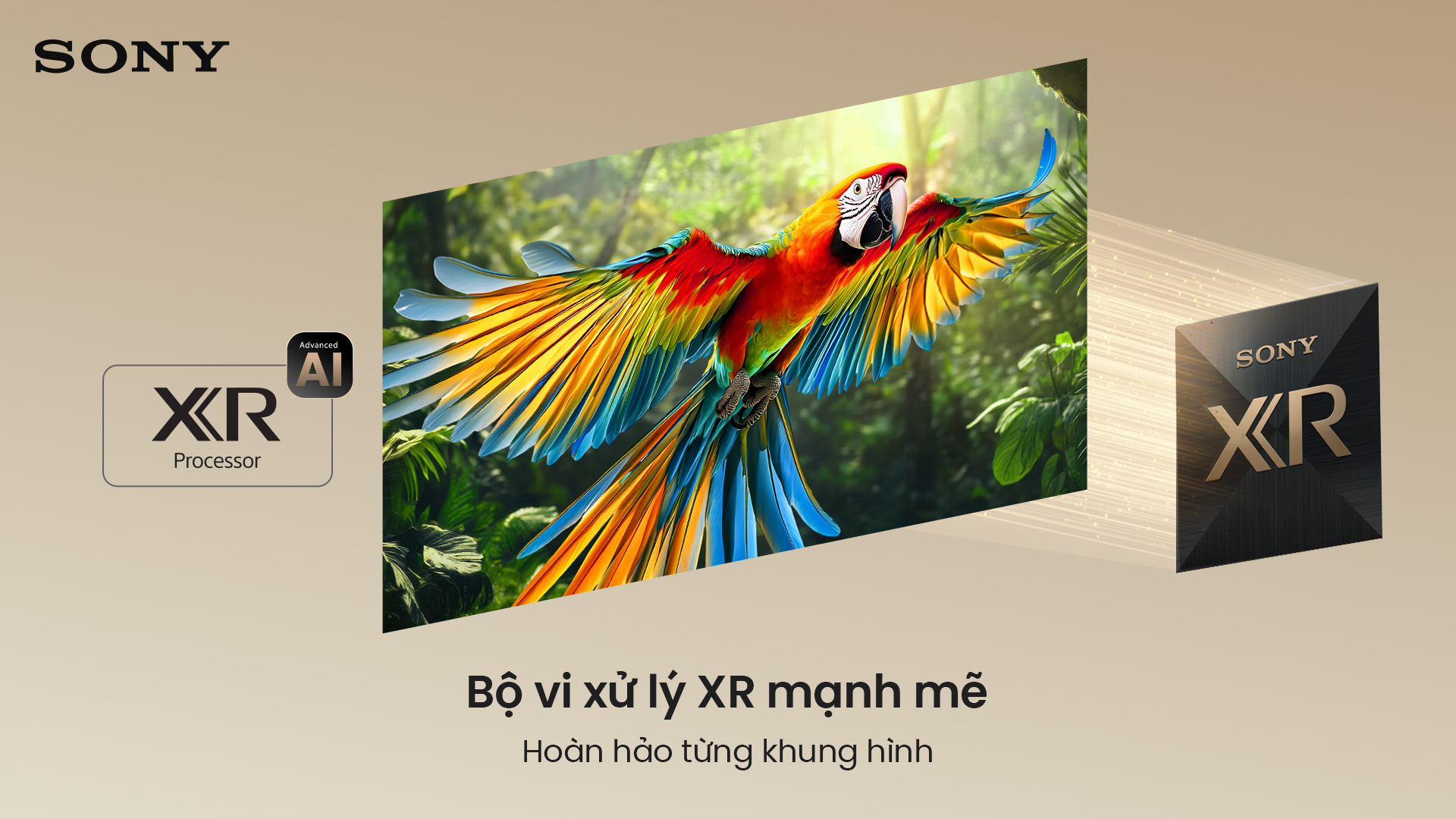 Google TiVi True RGB BRAVIA 7 II 55 Inch K-55XR70M2 7