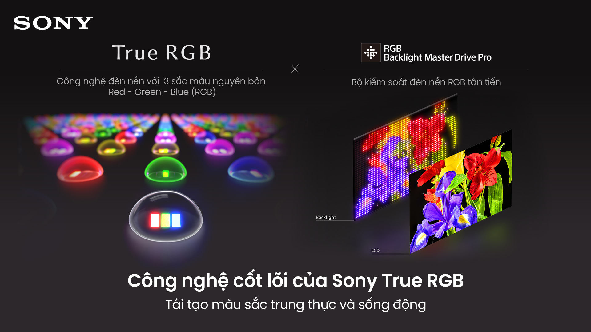 Google TiVi True RGB BRAVIA 7 II 55 Inch K-55XR70M2 8