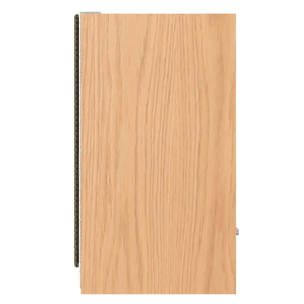 Loa Karaoke Paramax EURO 801 Smart (Light Oak) 1