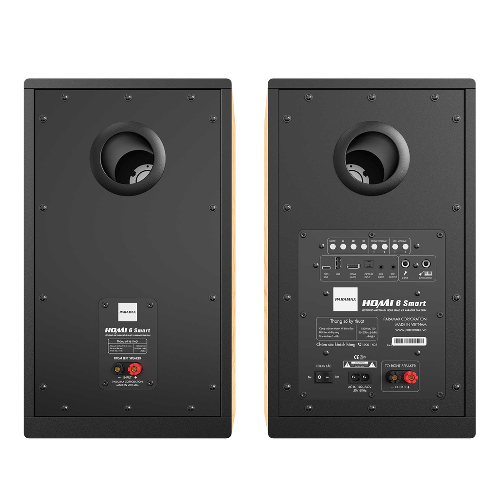 Loa Karaoke Paramax HOMI 6 Smart (Light Oak) 4