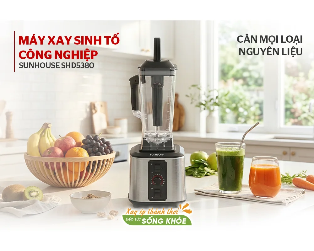 Máy Xay Sinh Tố Công Nghiệp Sunhouse SHD5380 6