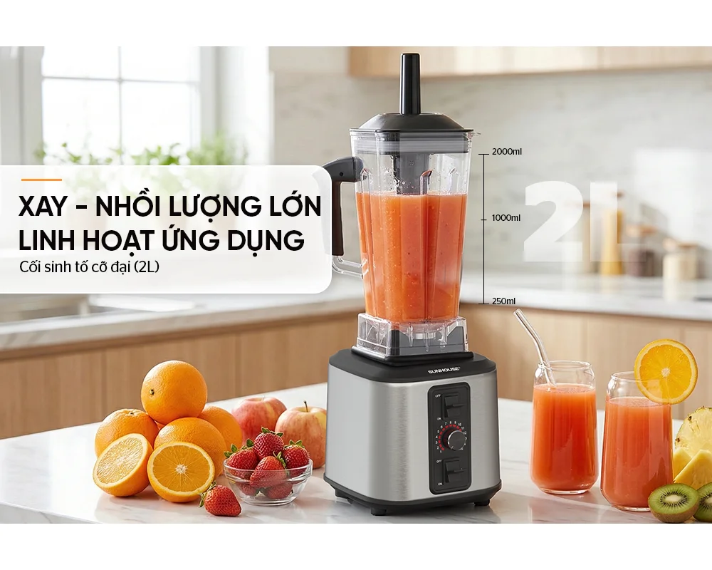 Máy Xay Sinh Tố Công Nghiệp Sunhouse SHD5380 9