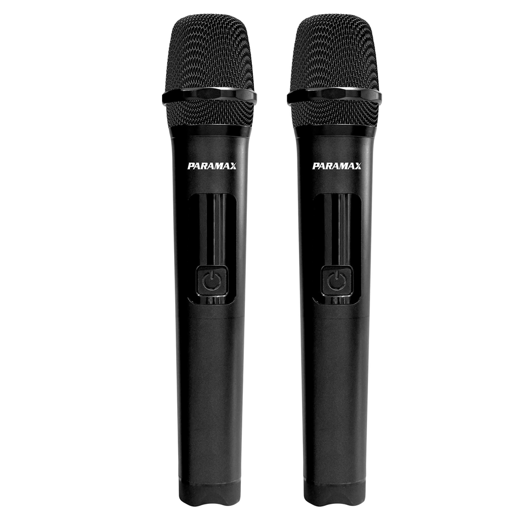 Loa Di Động Paramax PartyMore 850 5