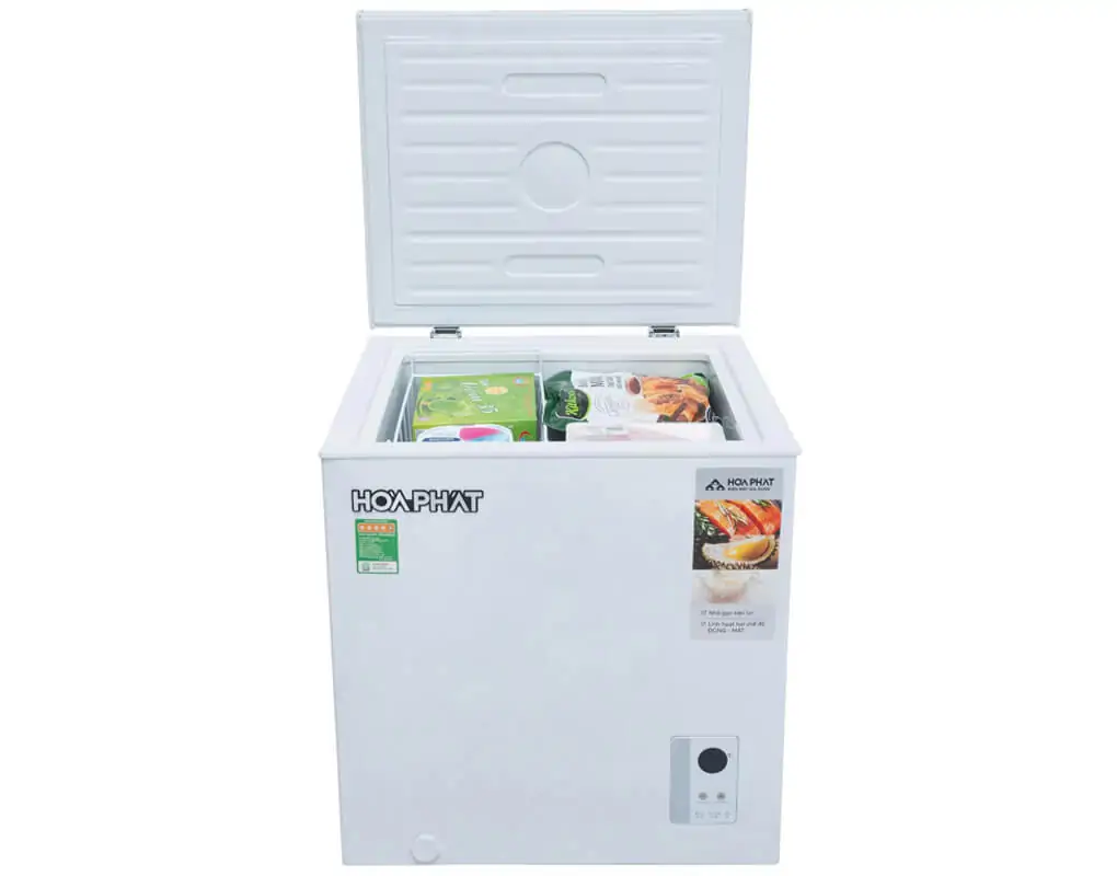 Tủ Đông Hòa Phát 66 Lít HPF AN666 4