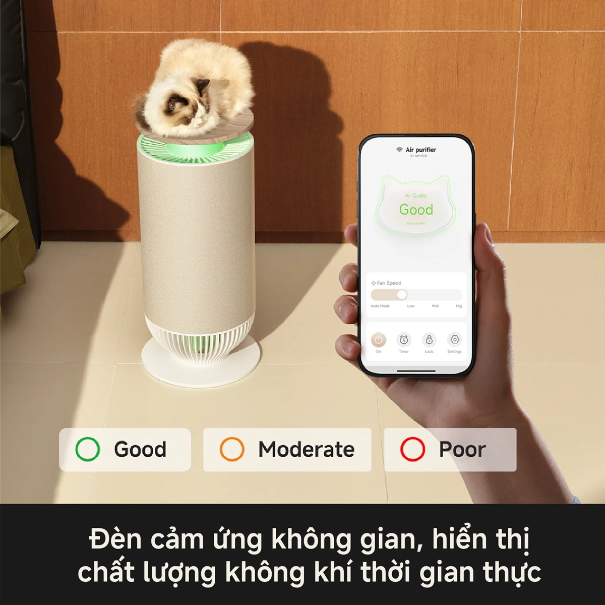 Máy Lọc Không Khí Mova Puris P10 Air Purifier 11