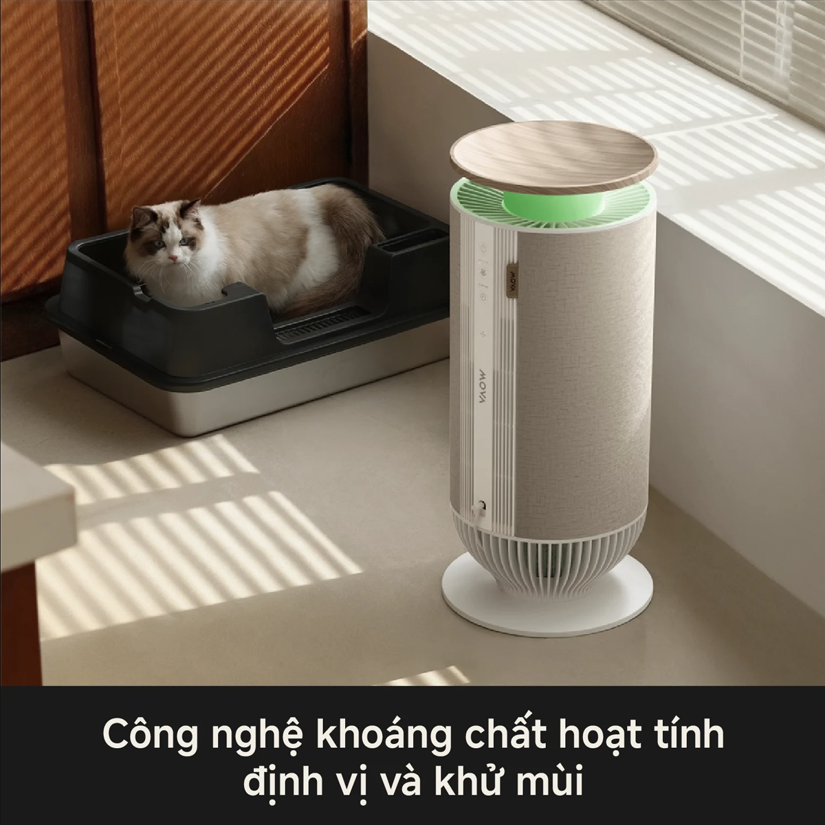 Máy Lọc Không Khí Mova Puris P10 Air Purifier 14