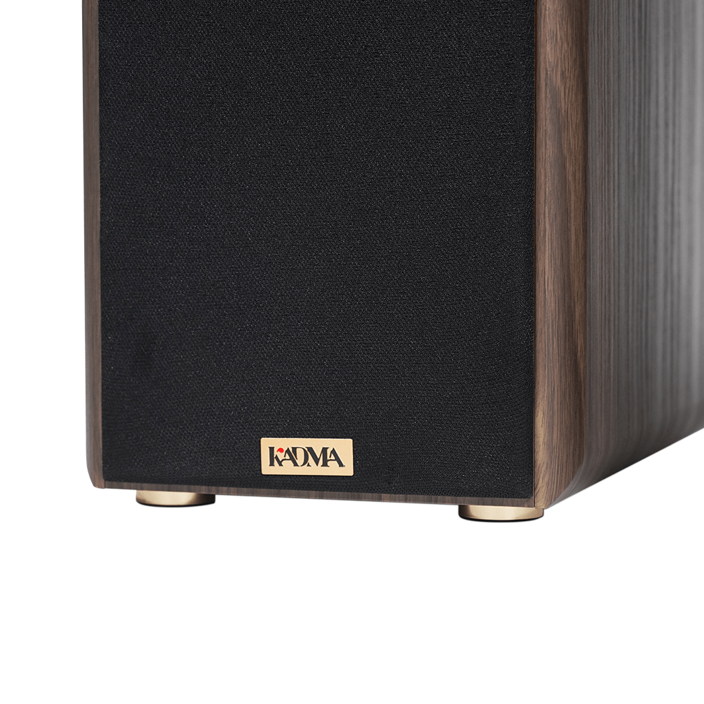 Loa Hi-Fi Karaoke Active KADMA KM-BS36i 4