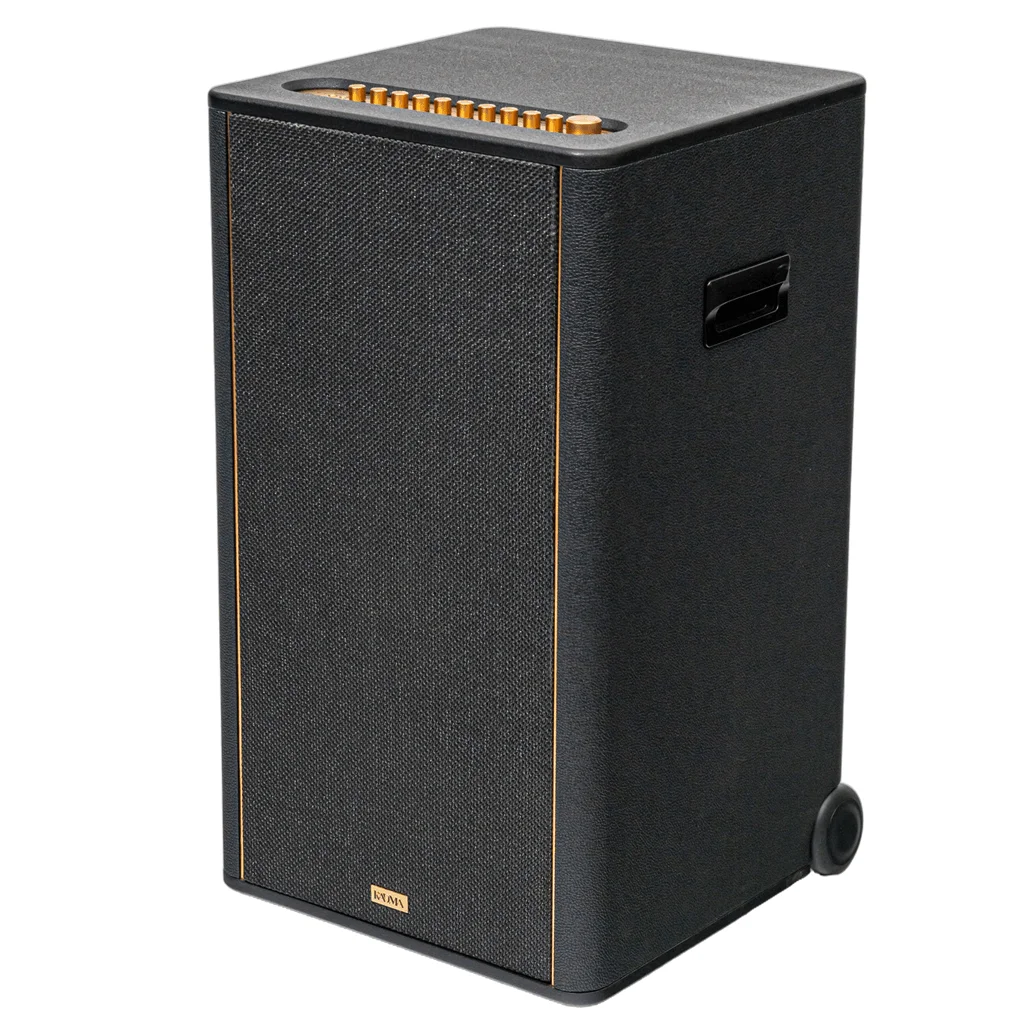 Loa Karaoke Di Động KADMA KF950P 2