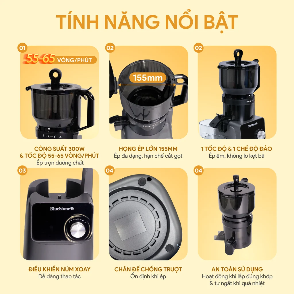 Máy Ép Chậm BlueStone SJB-6555 300W 2