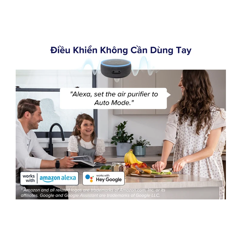 Máy Lọc Không Khí Levoit Everest Air 70W 8