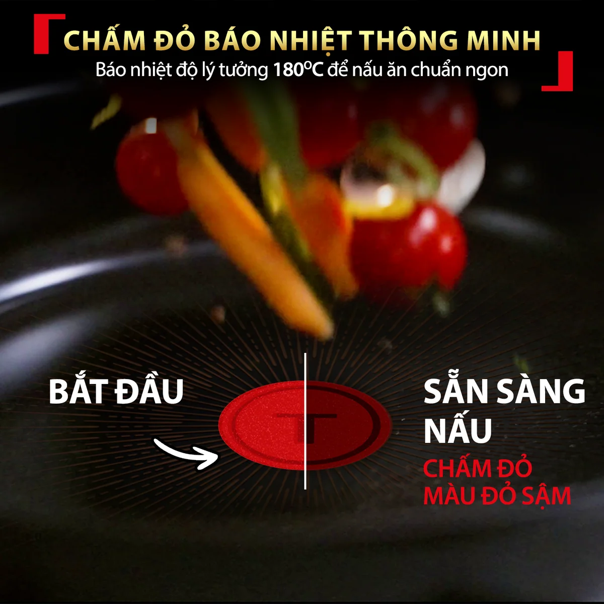 Chảo Chiên Cao Cấp Tefal Excellence Fusion G3380202 20cm 2