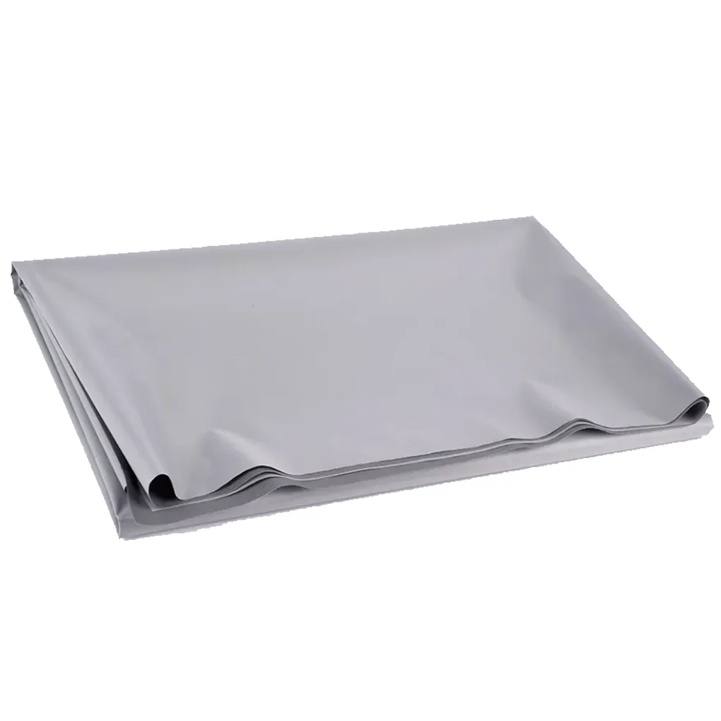 Màn Chiếu Projector Screen Ecor PAC100-SFC01 1