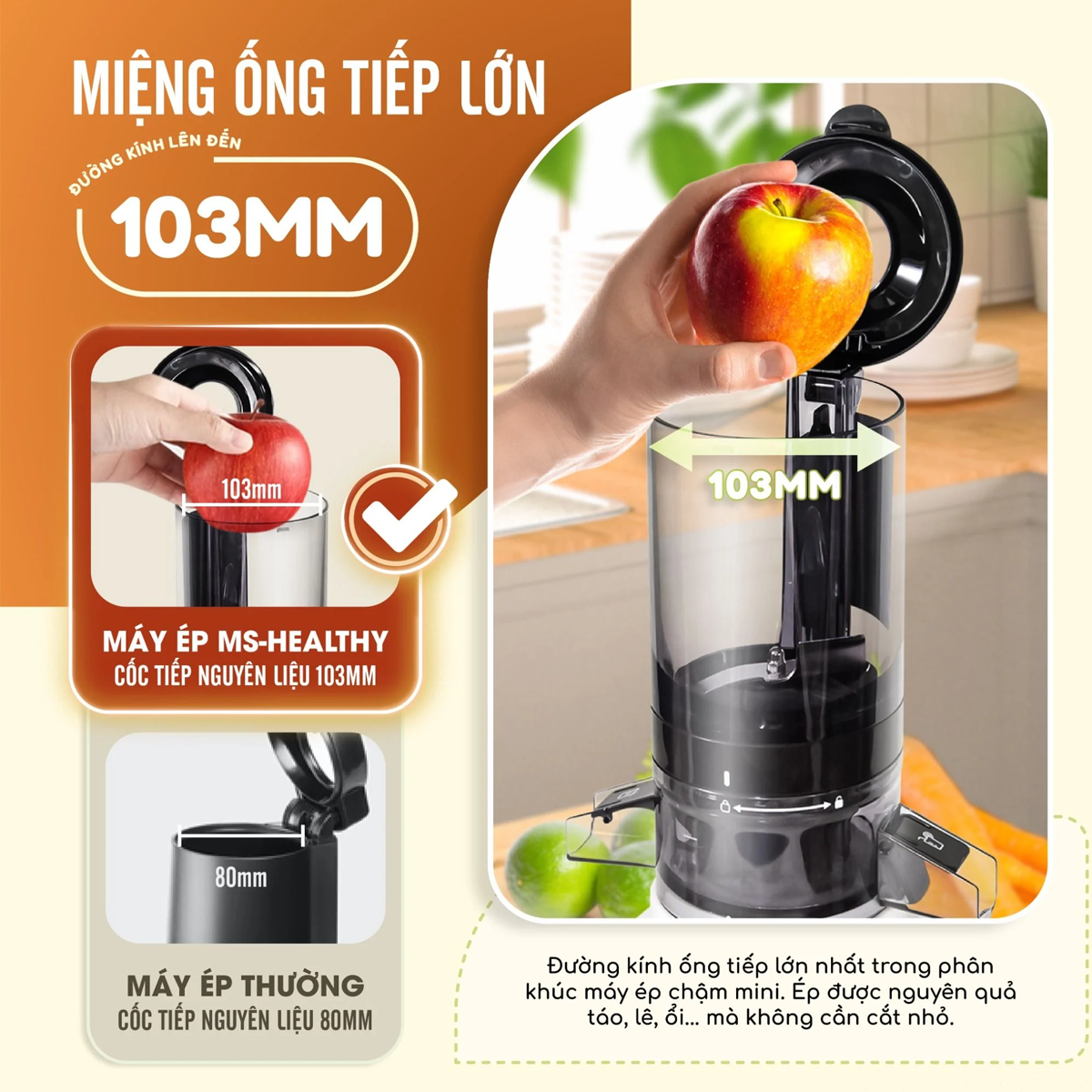 Máy Ép Chậm Masuto MSHealthy 3