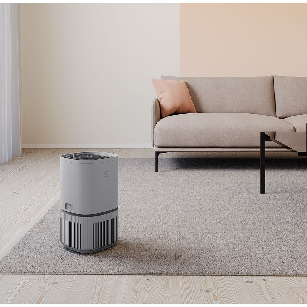 Máy Lọc Không Khí Electrolux EP32-25UGA 9