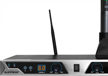 Micro Guinness MU-300i 1