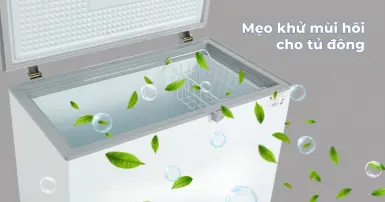 Một số mẹo khử mùi hôi tủ đông đơn giản, hiệu quả, thực hiện ngay tại nhà